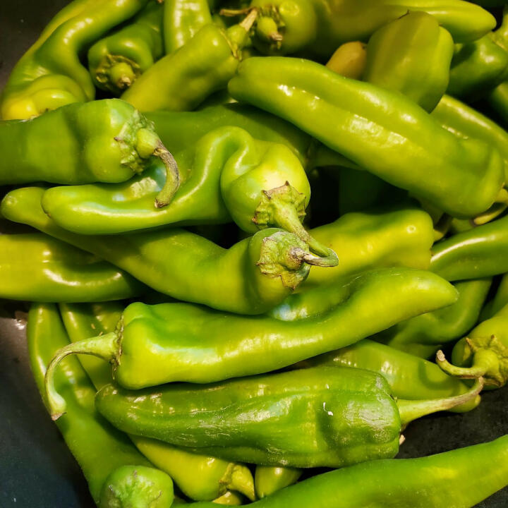 The Hatch Chile Store Reviews: What Customers Are Saying | ReviewFeeder